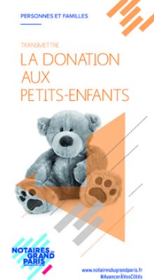 La Donation aux Petits-Enfants Droit Famille